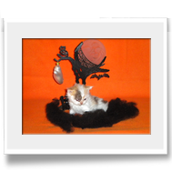 Appletini - Happy Halloween